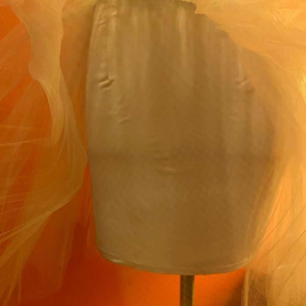 Bebe Tulle Party Skirt View 4